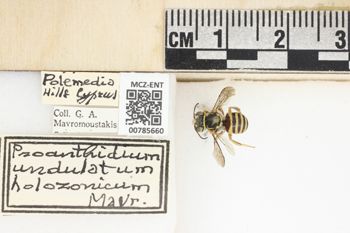 Media type: image;   Entomology 785660 Aspect: Labels